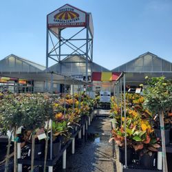 Houston Garden Centers
