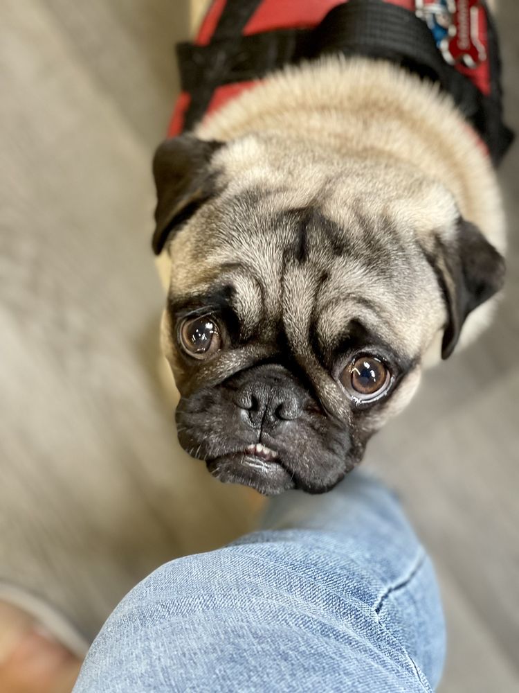 RAINBOW MEALWORMS 102 Photos & 140 Reviews 126 E Spruce St, Compton, California Reptile