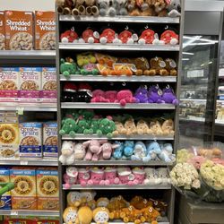 Publix Super Market- Ocala