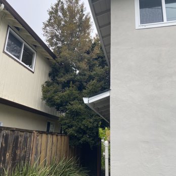Emerald View Tree Service - Beginning - Tree Services Near Me - San Jose, California