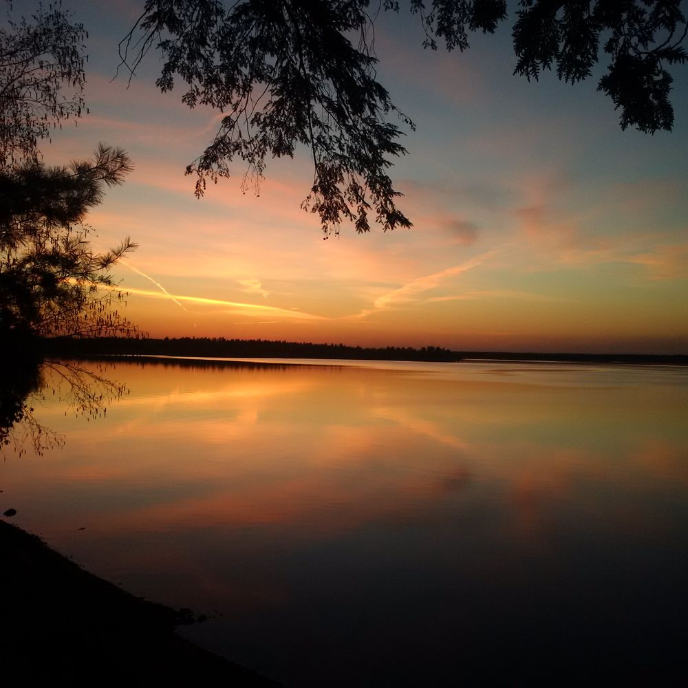 STEWART’S BAY COTTAGE RENTALS Updated August 2024 337 Henry