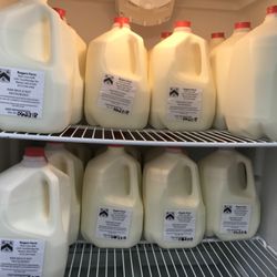 Rogers Farm - Fresh raw milk 24/7