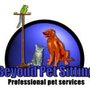 Photo of Beyond Pet Sitting