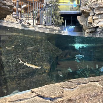 Bass Pro Shops - Hunting & Fishing Supplies Near Me - Denver, Colorado