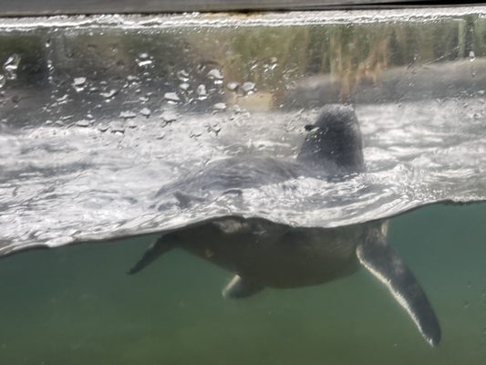National Aquarium of New Zealand by null