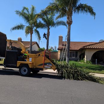 Roger's Tree Service - Tree Services Near Me Roger's Tree Service - Tree Services Near Me