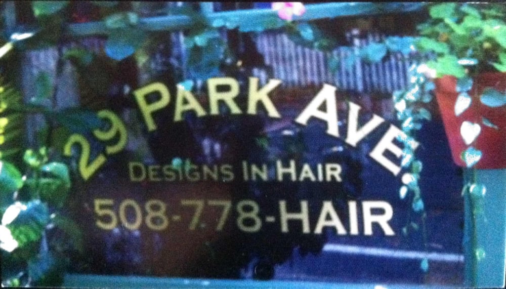 29 Park Avenue Designs In Hair Logo