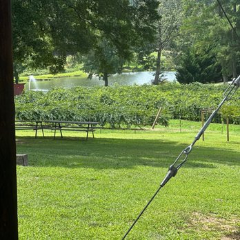 Treehouse Vineyards - Venues & Event Spaces Near Me - Monroe, North Carolina