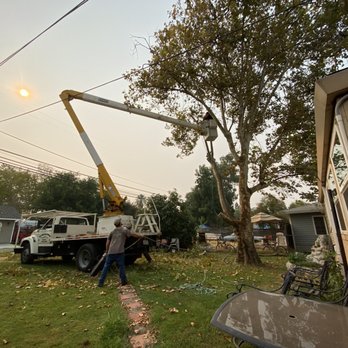 Sierra Country Tree & Landscape - Highly recommend they do quality work. - Landscaping Near Me - Auburn, California Sierra Country Tree & Landscape - Highly recommend they do quality work. - Landscaping Near Me - Auburn, California