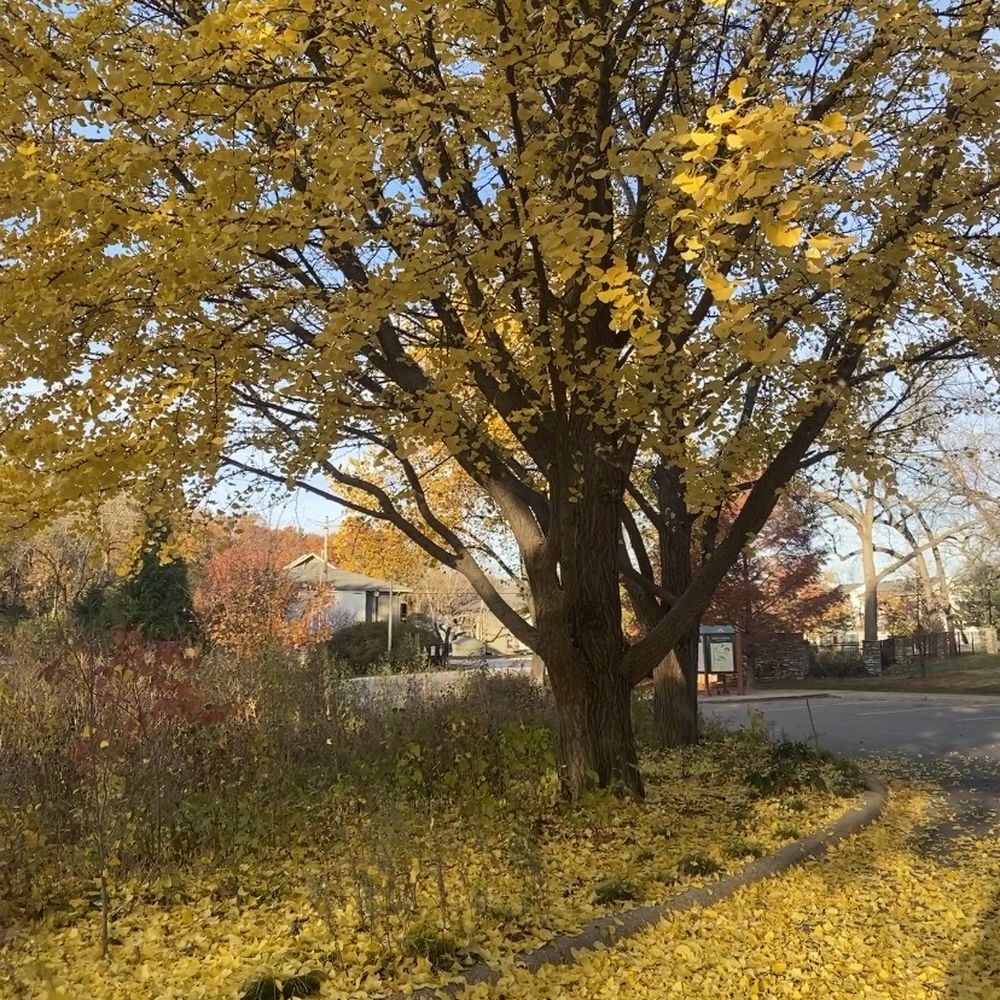Antioch Park - Parks Near Me - Merriam, Kansas