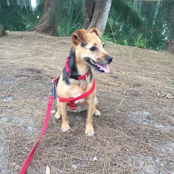 Wolf Lake Park - My doggie loves it here - Parks Near Me - Davie, Florida