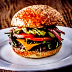 Bushfire Kitchen - Mission Viejo - Grassfed beef burger-yum!!