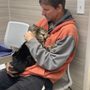 Photo of Mililani Mauka Veterinary Clinic