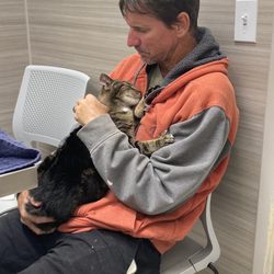 Mililani Mauka Veterinary Clinic - Sad Day For Us