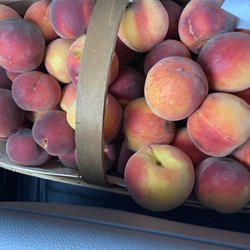 Southwest Virginia Farmers Market - Peaches!