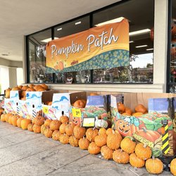 Safeway - Pumpkin Patch