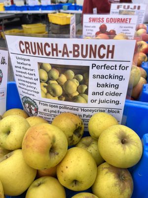 32nd Street Farmers Market by null