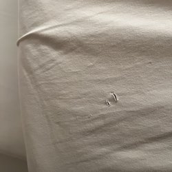 Spider Creek Resort - More holes in sheets