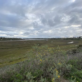 Upper Newport Wilderness Preserve - Bay Preserve - Hiking Near Me - Costa Mesa, California