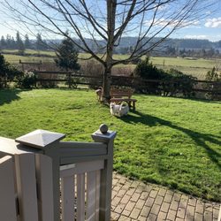 Bonnie's Country Boarding and Grooming - Loving the sun!