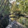 Photo of Cobus Creek County Park
