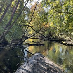Cobus Creek County Park