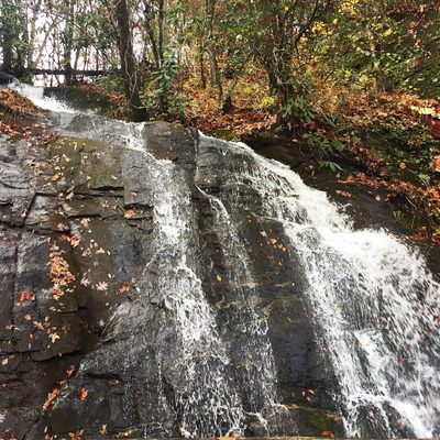 Deep Creek Trail Trailhead by null