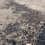 Up North Cleanup