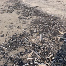 Up North Cleanup