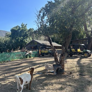 Rancho Grande - Ranches Near Me - Ojai, California