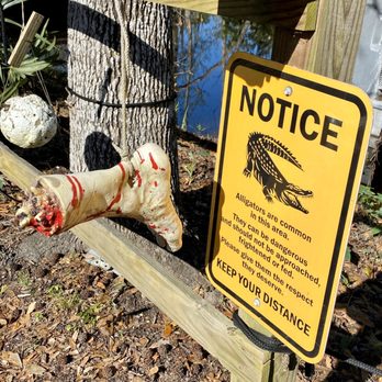 Jean Lafitte Swamp Tour - 02.22.20 for real... keep your distance - Boat Tours Near Me - Marrero, Louisiana