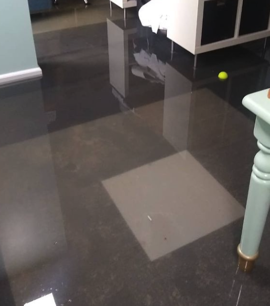 Slide of Real Restoration