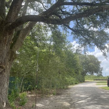 Cajun Acres RV Park - New kids' swing - RV Parks Near Me - Kaplan, Louisiana Cajun Acres RV Park - New kids' swing - RV Parks Near Me - Kaplan, Louisiana