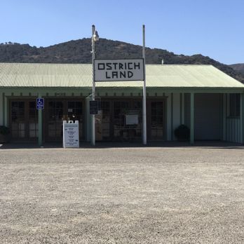 Ostrichland USA - The parking lot - Attraction Farms Near Me - Solvang, California Ostrichland USA - The parking lot - Attraction Farms Near Me - Solvang, California