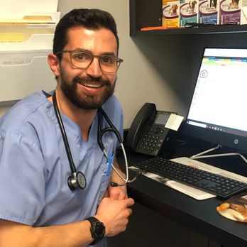 City Dog Vet - Veterinarians Near Me - Madison, Wisconsin City Dog Vet - Veterinarians Near Me - Madison, Wisconsin