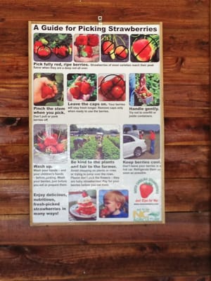 Bernie's Berries & Produce by null