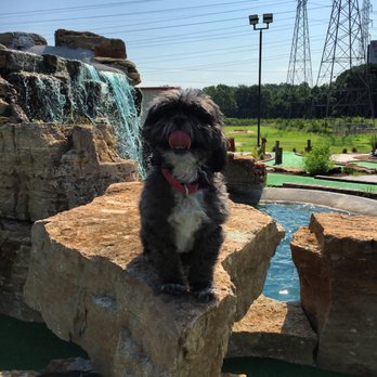 Vantage Point Golf Center - Golf Near Me - Cordova, Tennessee Vantage Point Golf Center - Golf Near Me - Cordova, Tennessee