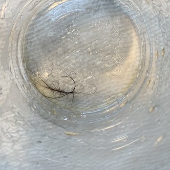 For Five Coffee - At the bottom of my ice coffee was hair. - Coffee Roasteries Near Me - Alexandria, Virginia For Five Coffee - At the bottom of my ice coffee was hair. - Coffee Roasteries Near Me - Alexandria, Virginia
