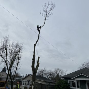 Second 2 None Tree Service - Almost done - Tree Services Near Me - Portland, Oregon Second 2 None Tree Service - Almost done - Tree Services Near Me - Portland, Oregon