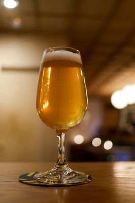 ØL by Oslo Brewing Co. by null