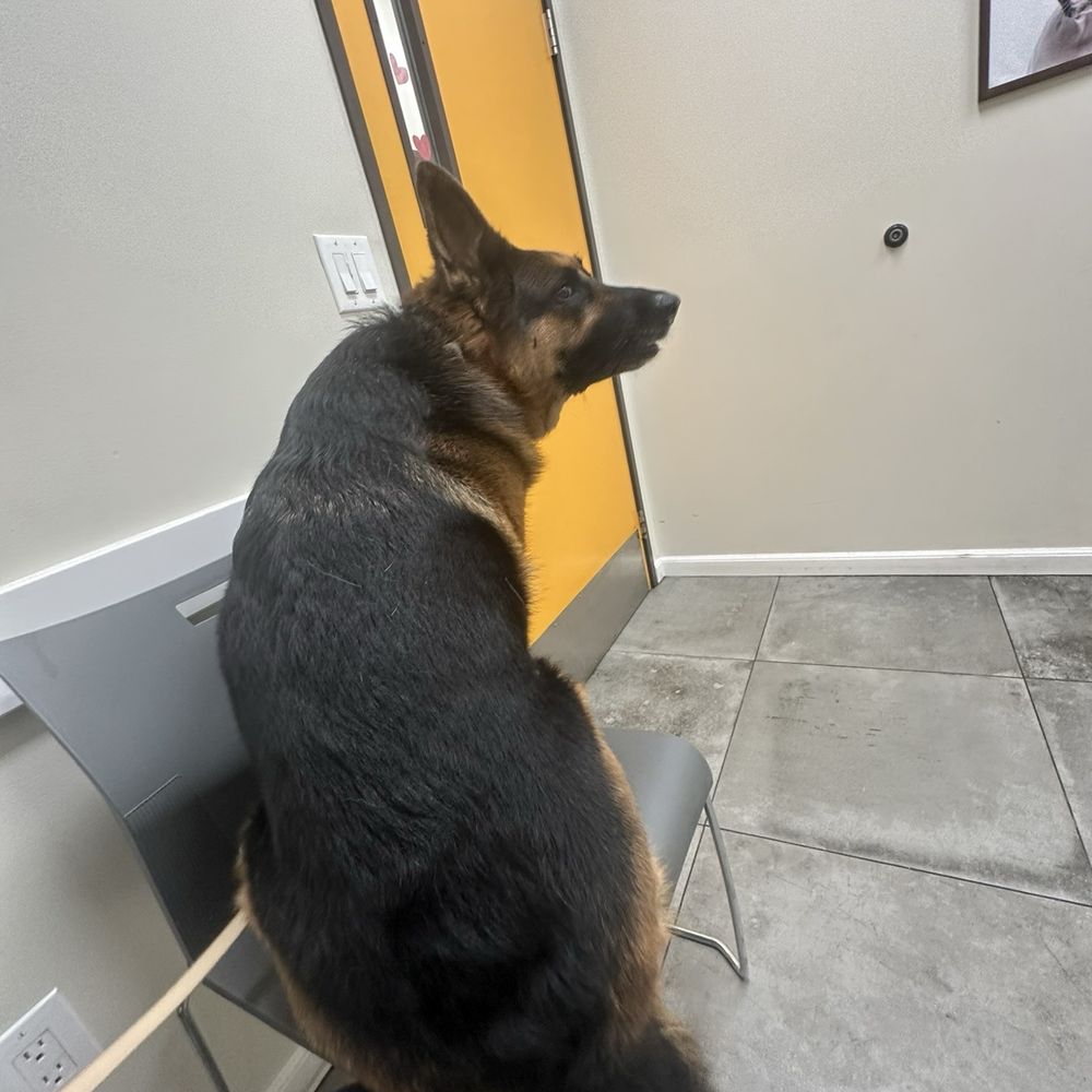 Waiting for the Dr Waiting for the Dr