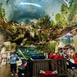 Bass Pro Shops
