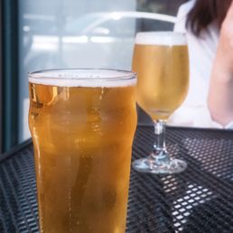 Pliny the Elder