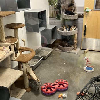 PetSmart - Pet Stores Near Me - KAPOLEI, Hawaii PetSmart - Pet Stores Near Me - KAPOLEI, Hawaii