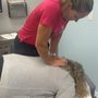 Paradise Palms Chiropractic