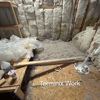 Terminix - Pest Control Near Me - Goodlettsville, Tennessee