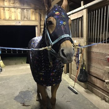 Hillside Stable - Horseback Riding Near Me - Glastonbury, Connecticut
