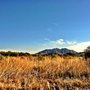 Photo of Gila River Indian Community