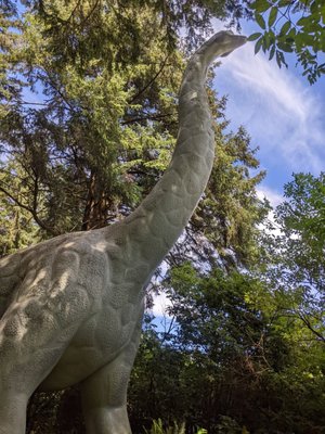 Prehistoric Gardens by null