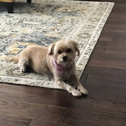Ruby